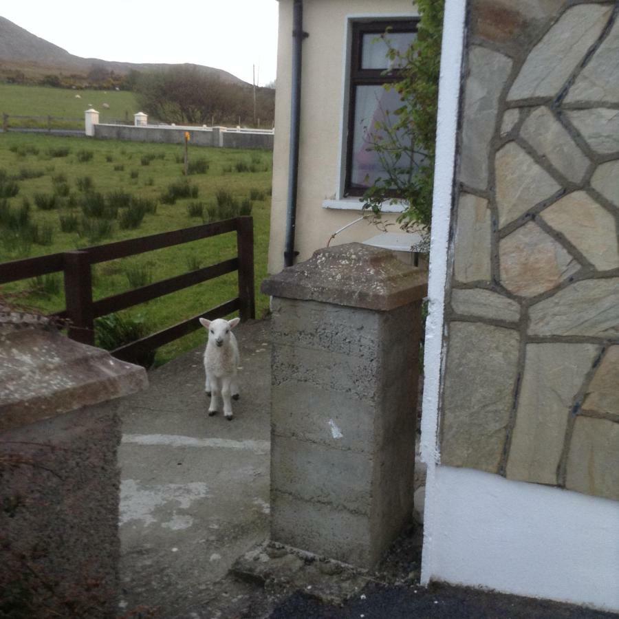 Sea View Chalet Kilsallagh Westport Co Mayo Екстериор снимка
